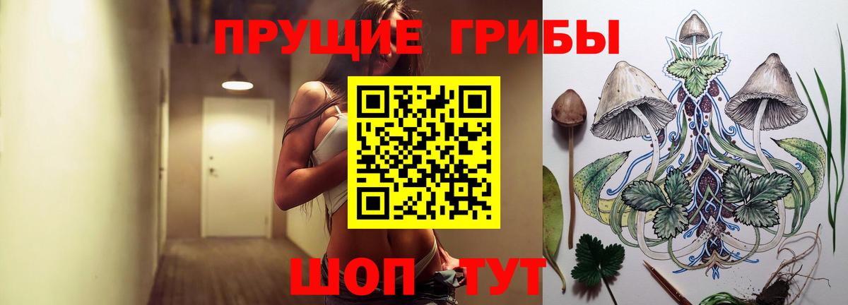 Псилоцибиновые грибы Cubensis  Псилоцибиновые грибы MAGIC MUSHROOMS  Вход с VPN  Уссурийск 